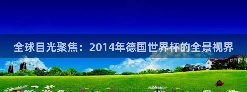 足球比分直播世界杯:全球目光聚焦:2014年德国世界杯的全景视界