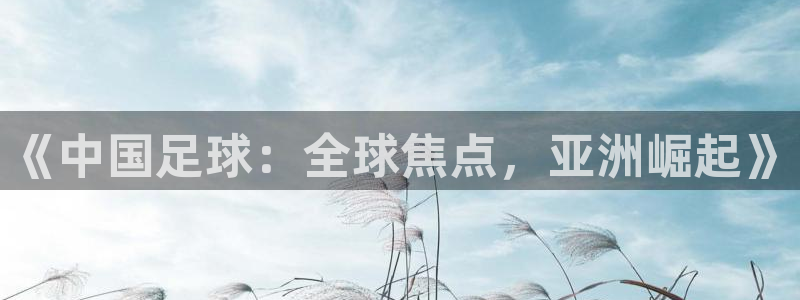 预选赛世界杯:《中国足球:全球焦点,亚洲崛起》