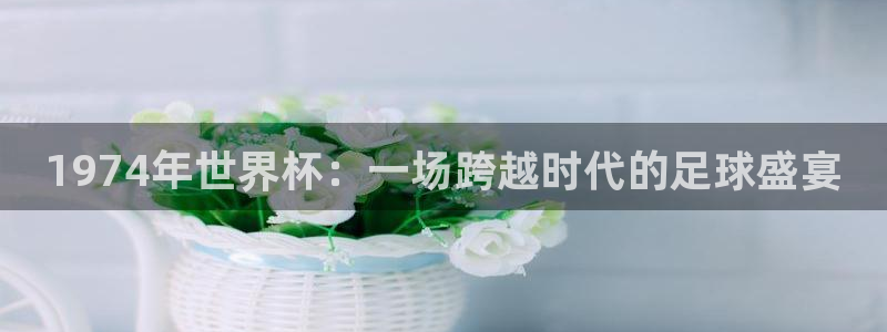 欧洲世界杯预选赛:1974年世界杯:一场跨越时代的足球盛宴