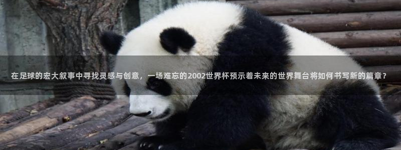 世界杯预赛赛程:在足球的宏大叙事中寻找灵感与创意,一场难忘的2002世界杯预示着未来的世界舞台将如何书写新的篇章?
