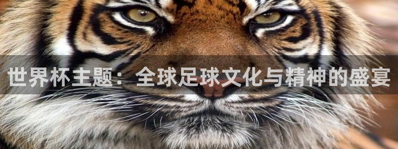 世界杯在线直播入口:世界杯主题:全球足球文化与精神的盛宴