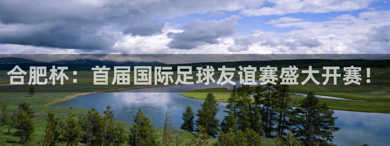世界杯欧洲区世预赛赛程:合肥杯:首届国际足球友谊赛盛大开赛!