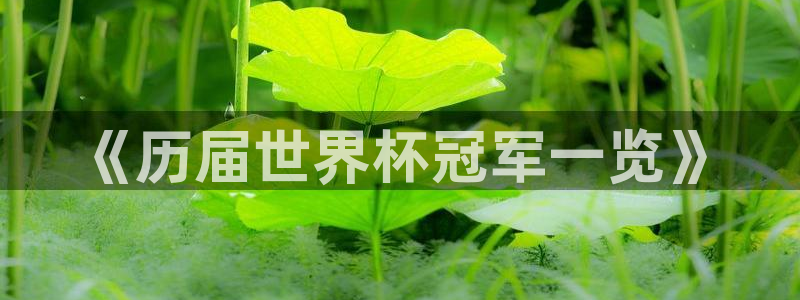 2026世界杯买球:《历届世界杯冠军一览》